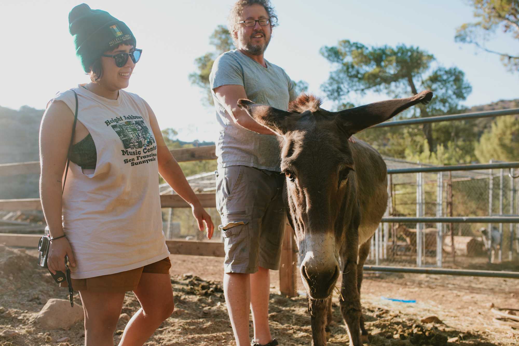 Meeting the ranch donkey